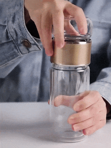 Double Wall Glass Tea Infuser Bottle