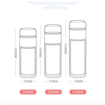Double Wall Glass Tea Infuser Bottle